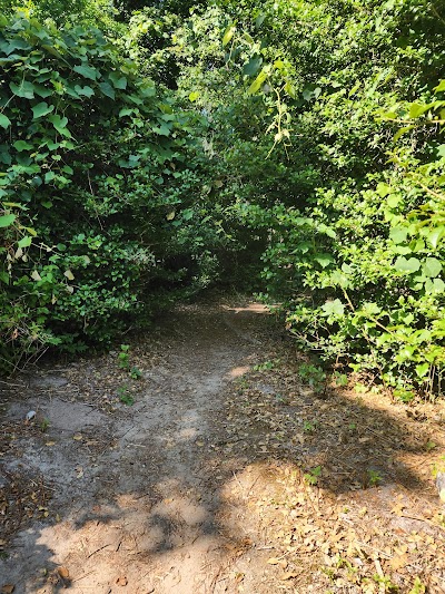 Photo 5 of Eddy Bay Trail