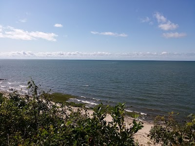 Photo 4 of Eddy Bay Trail