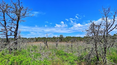 Photo 5 of Hatches Harbor Trail