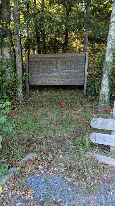 Photo 2 of Pocasset River Trail Head