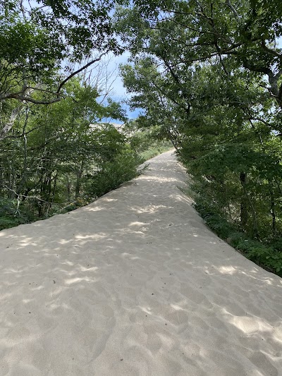 Photo 5 of Dune Shacks Trail