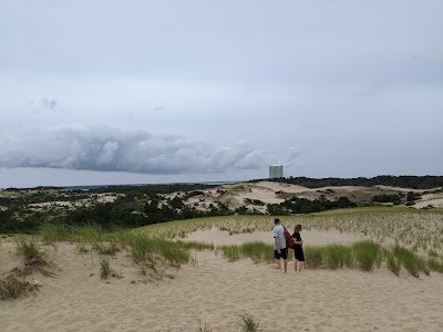 Photo 2 of Dune Shacks Trail