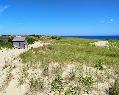 Photo 3 of Dune Shacks Trail