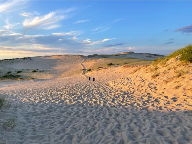 Photo of Dune Shacks Trail