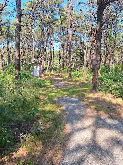 Photo 3 of Pilgrim Spring Trail