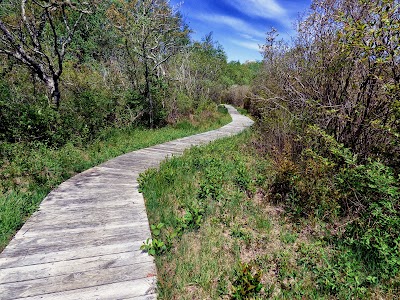 Photo 4 of Pilgrim Spring Trail