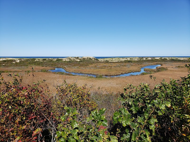 Photo of Pilgrim Spring Trail