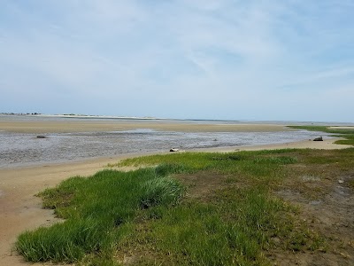 Photo 4 of Mass Audubon Long Pasture Wildlife Sanctuary