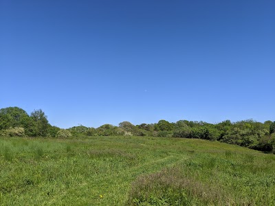 Photo 5 of Mass Audubon Long Pasture Wildlife Sanctuary