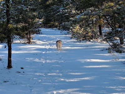 Photo 4 of Thompson's Field Conservation Area