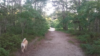Photo 2 of Thompson's Field Conservation Area