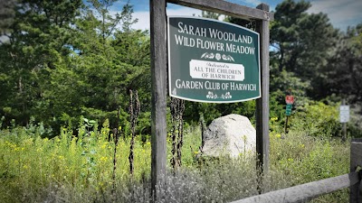 Photo 3 of Thompson's Field Conservation Area