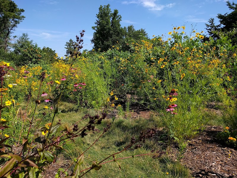Photo of Thompson's Field Conservation Area