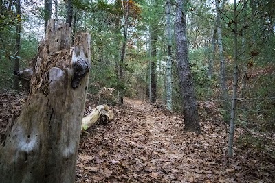 Photo 2 of West Barnstable Conservation Area