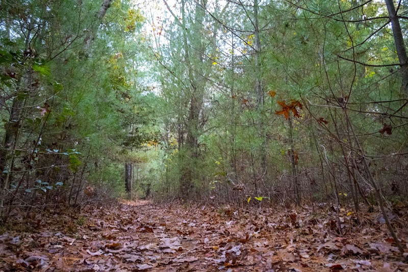 Photo of West Barnstable Conservation Area