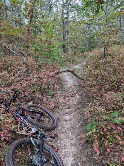 Photo 4 of West Barnstable Conservation Area