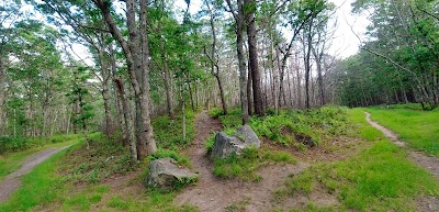 Photo 3 of West Barnstable Conservation Area