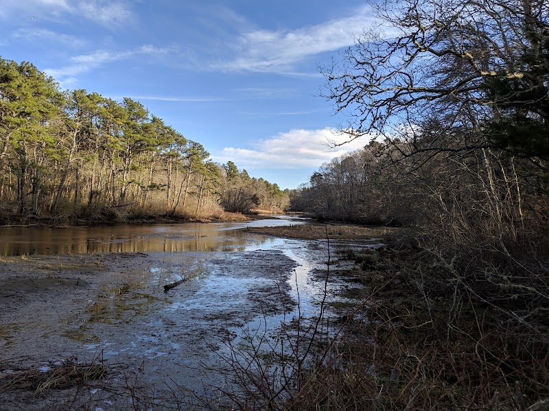 Photo of Mashpee River Woodlands