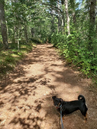 Photo 5 of Mashpee River Woodlands