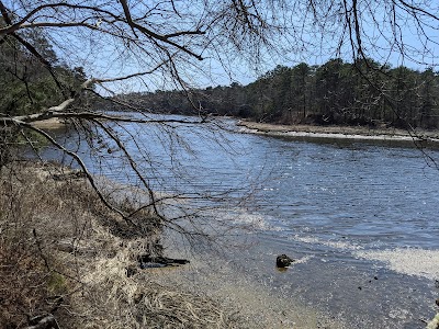 Photo 3 of Mashpee River Woodlands