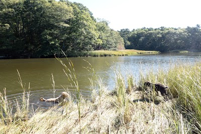 Photo 2 of Mashpee River Woodlands