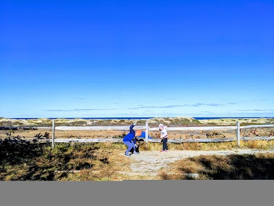 Photo 4 of Small's Swamp Trail