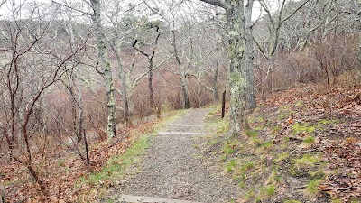 Photo 3 of Small's Swamp Trail
