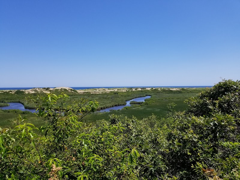 Photo of Small's Swamp Trail