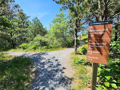 Photo 3 of Pamet Cranberry Bog Trail