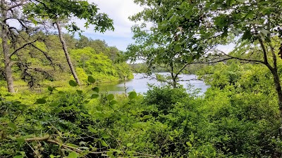 Photo 5 of Hawksnest State Park