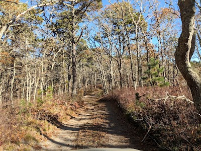 Photo 4 of Hawksnest State Park