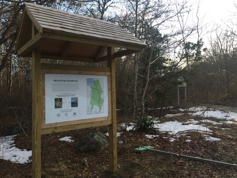 Photo of Sheep Pond Woodlands Trail