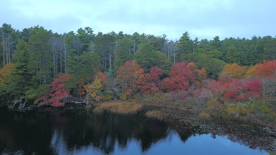 Photo 3 of Eagle Pond and Little River Sanctuary