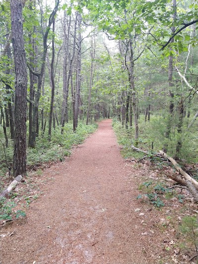 Photo 2 of Eagle Pond and Little River Sanctuary