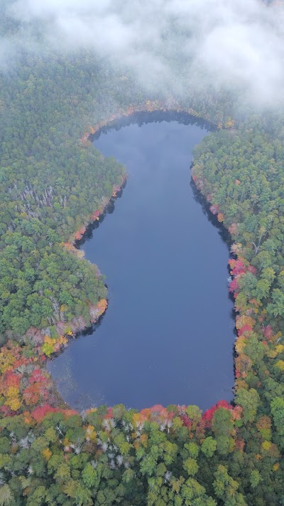 Photo 5 of Eagle Pond and Little River Sanctuary