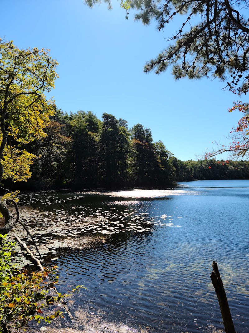Photo of Eagle Pond and Little River Sanctuary