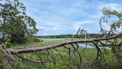 Photo 2 of Murkwood Conservation Area