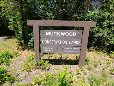 Photo 4 of Murkwood Conservation Area