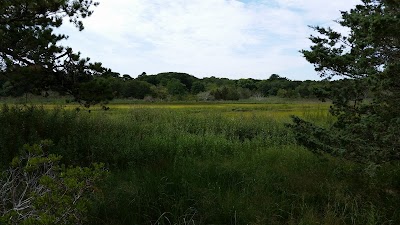 Photo 3 of Murkwood Conservation Area