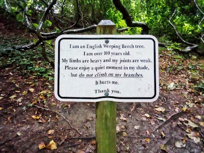 Photo 5 of Historical Society of Old Yarmouth Nature Trails