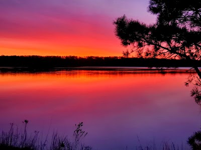 Photo 5 of Mashpee National Wildlife Refuge