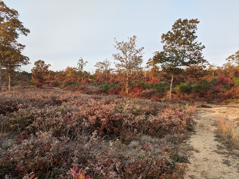 Photo of Mashpee National Wildlife Refuge