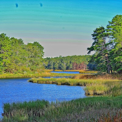 Photo 3 of Mashpee National Wildlife Refuge
