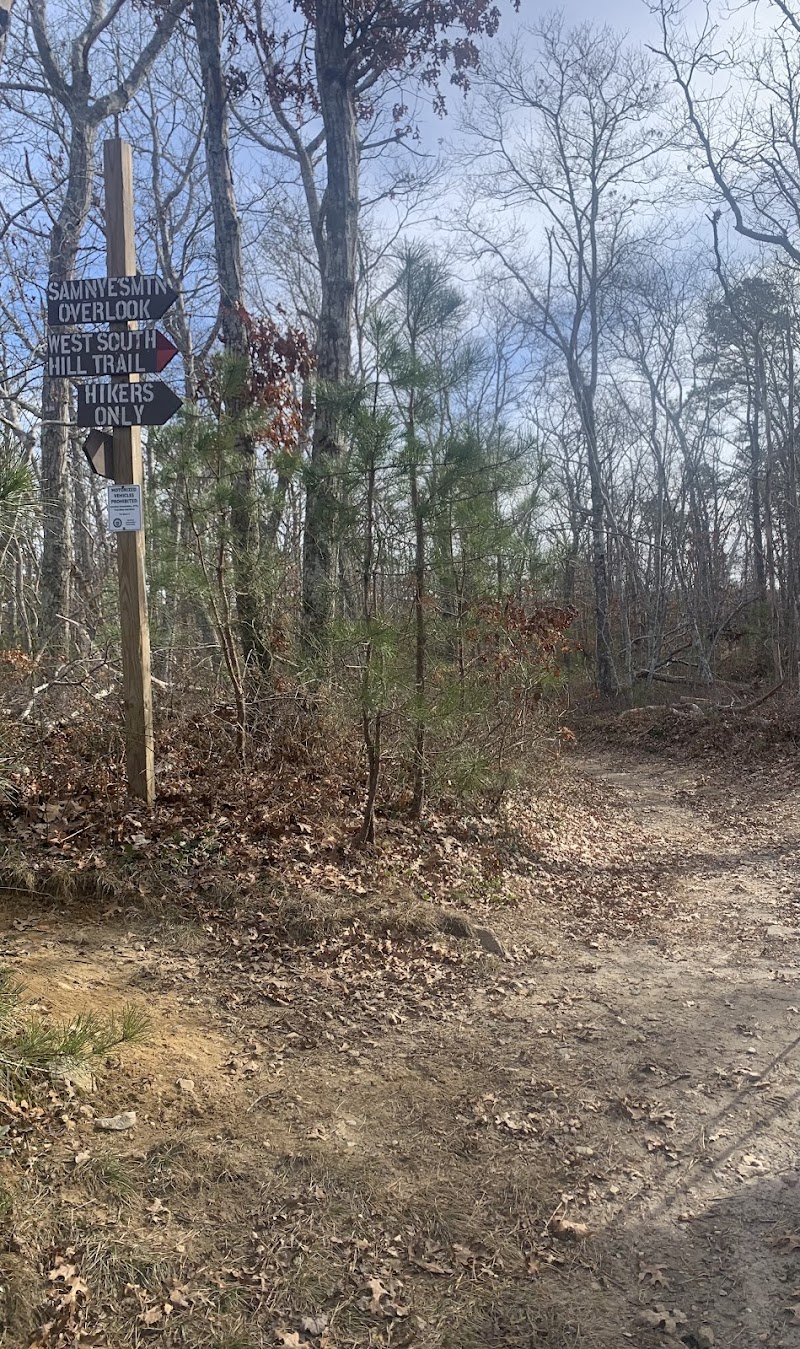 Photo of Maple Swamp