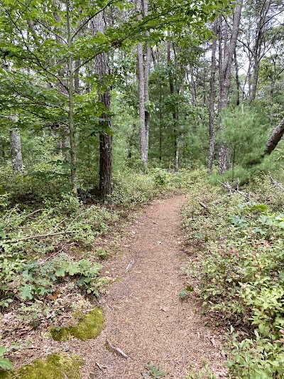 Photo 4 of Maple Swamp