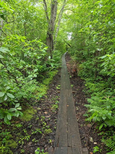 Photo 3 of Lowell Holly Reservation