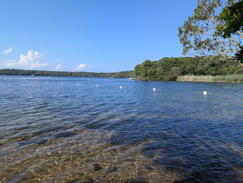 Photo of Lowell Holly Reservation