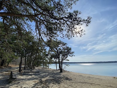 Photo 3 of Cape Cod Rail Trail