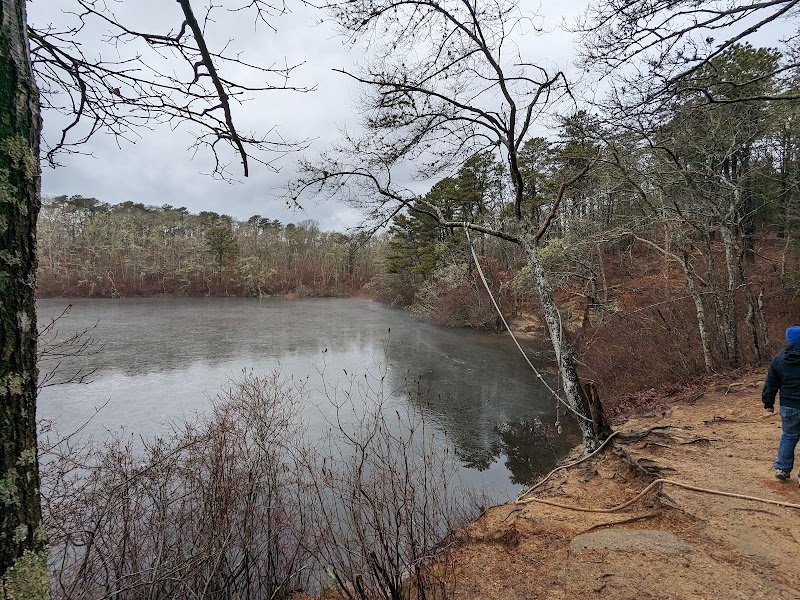 Photo of Beebe Woods