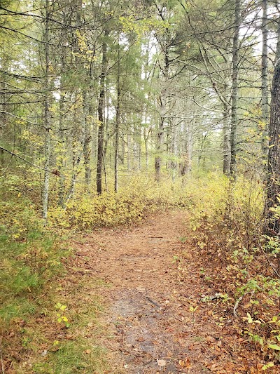 Photo 3 of Carter Beal Conservation Area